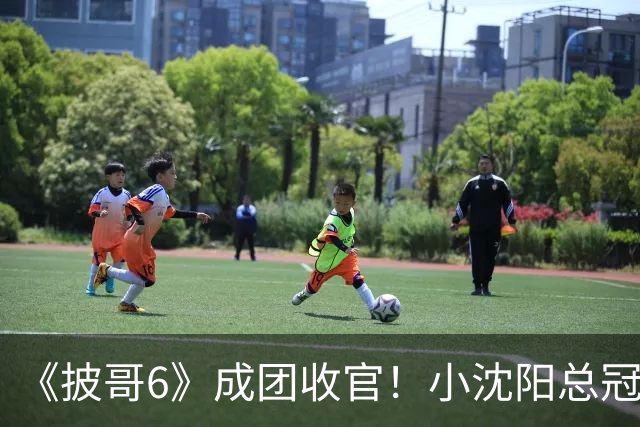 《披哥6》成团收官！小沈阳总冠军，孙楠X-Leader，满江卡位，4人没成团