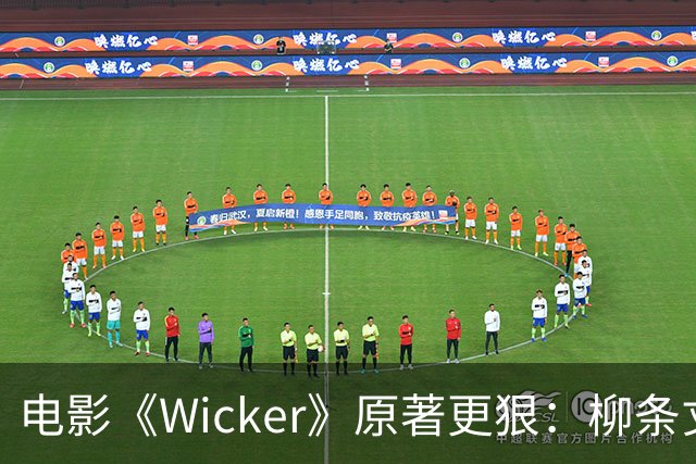 电影《Wicker》原著更狠：柳条丈夫被烧后，她又造了个荆棘女人